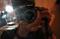 Avatar de Betorino