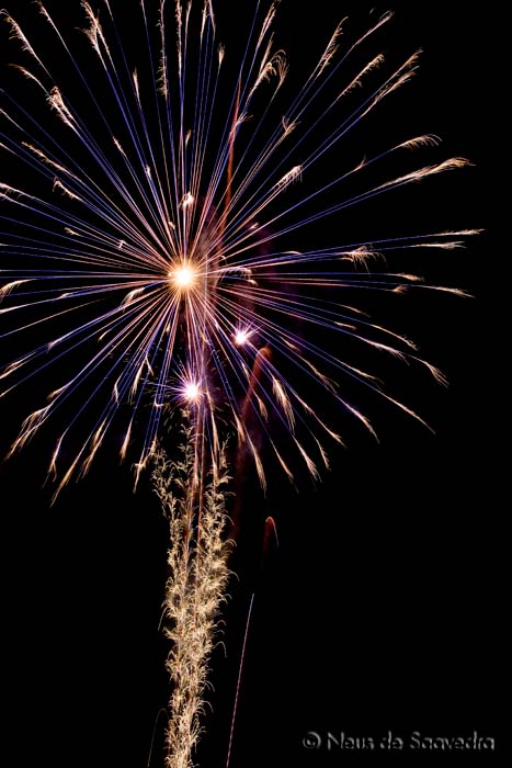 080727_fireworks_19_web