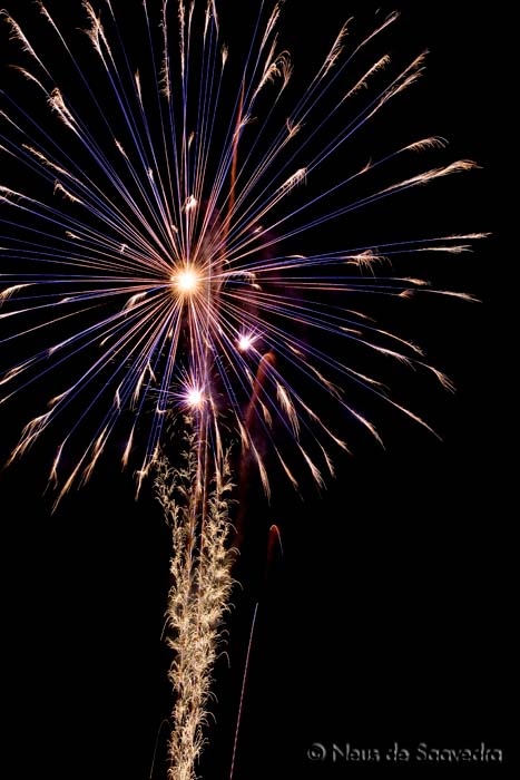 Fotografía de fuegos artificiales - Canon Spain