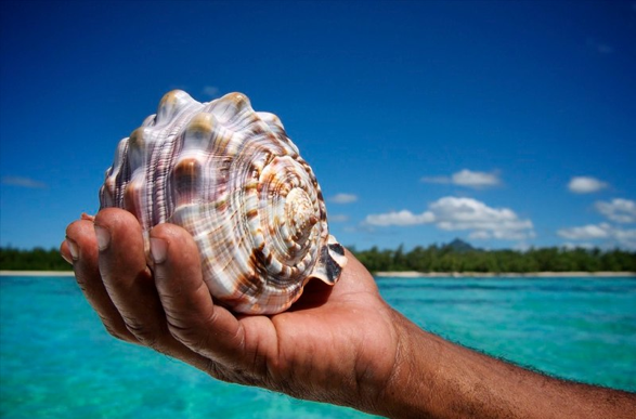 Captura_de_pantalla_2011-08-01_a_las_14_13_01