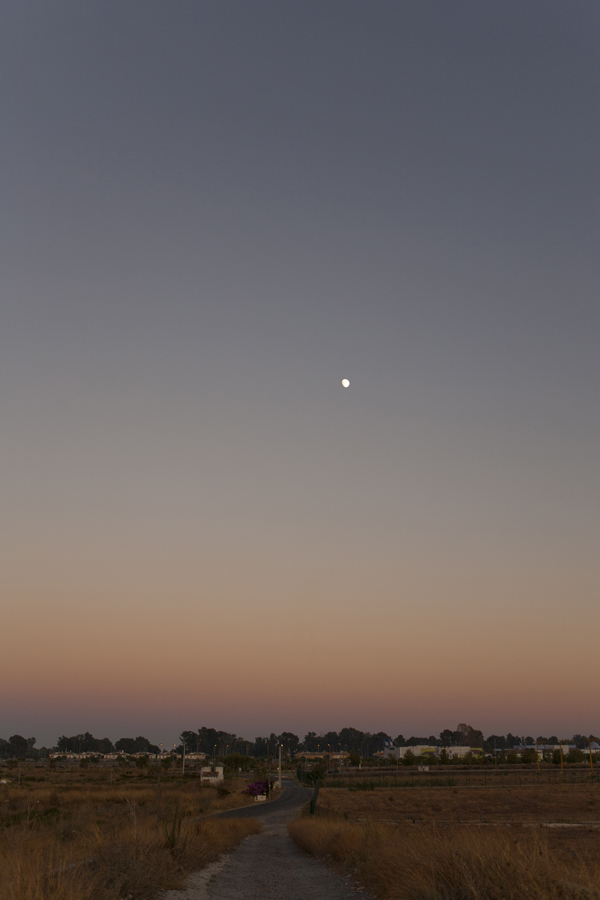 Ocaso_35a