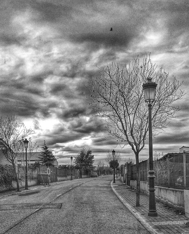 2013-12-14_13_29_22_2_procesada_con_Snapseed_646x796