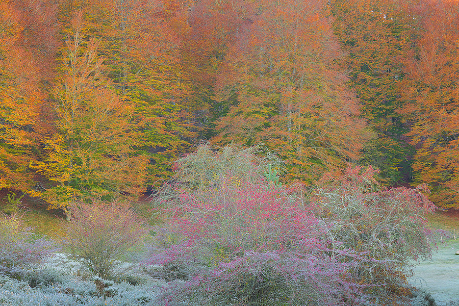 Sierra_de_Aralar-4_Navarra