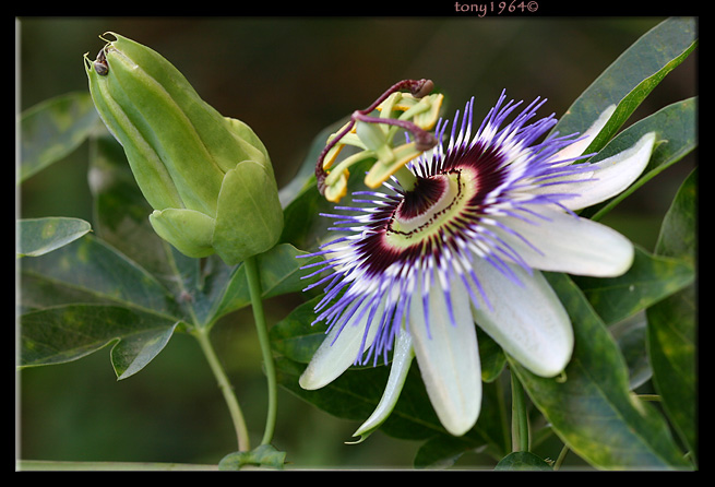 019ea09d58c9d225e9541257e0c01e00