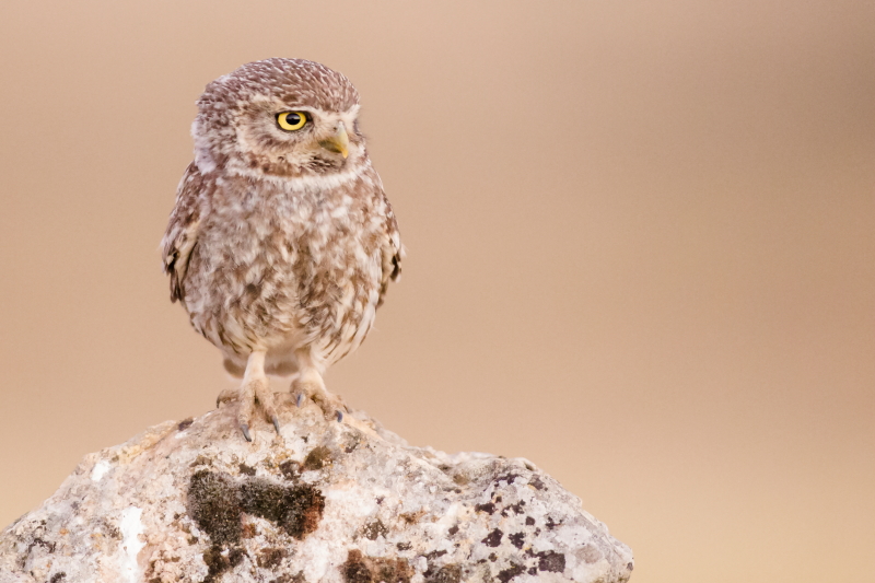 02072016-02072016-IMG_3782