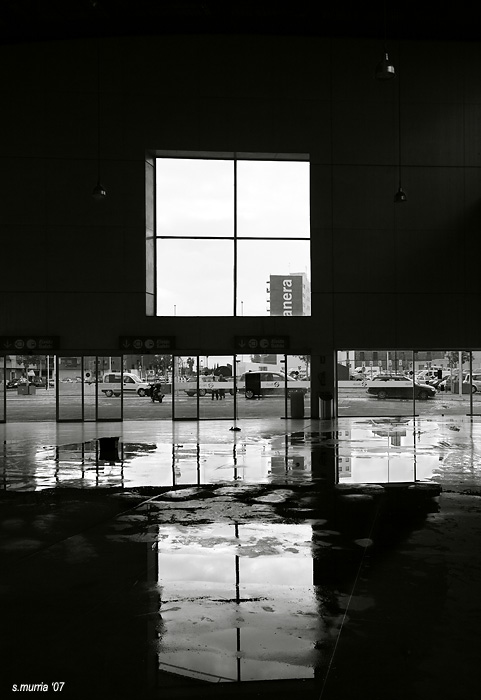 070406_5599