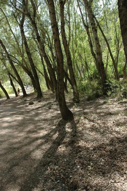 07_CCX_chelva_pedronunez_Small_