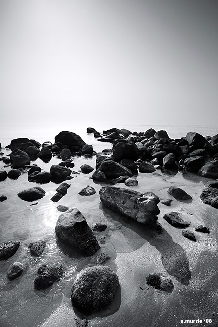 080229_9906f