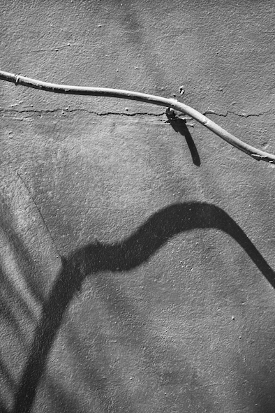11122009-_MG_9628