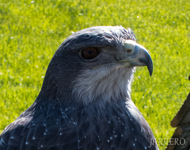 13042013-13042013-IMG_2646