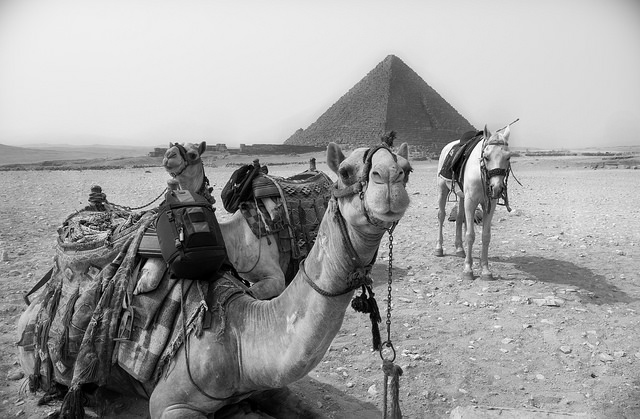 13562356824_4dbd7fc271_z