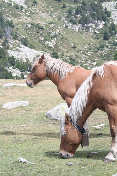 1b6c4e453f568642b726c26457253325