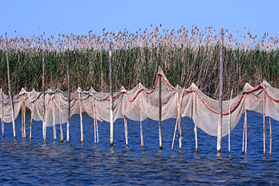 20080501_0153