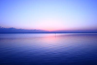 20080501_0338