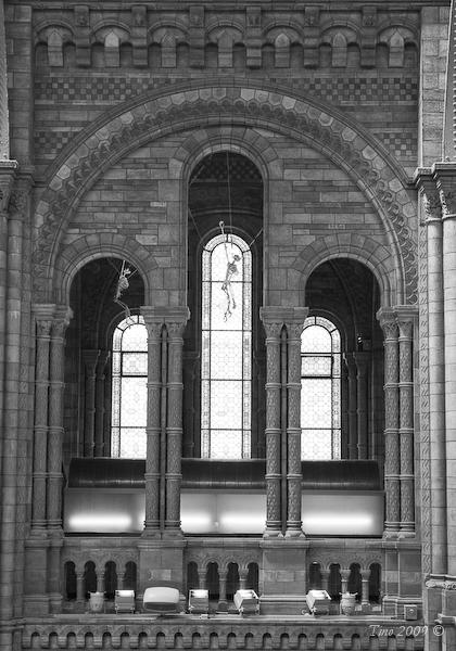 20090630-IMG_6992-1