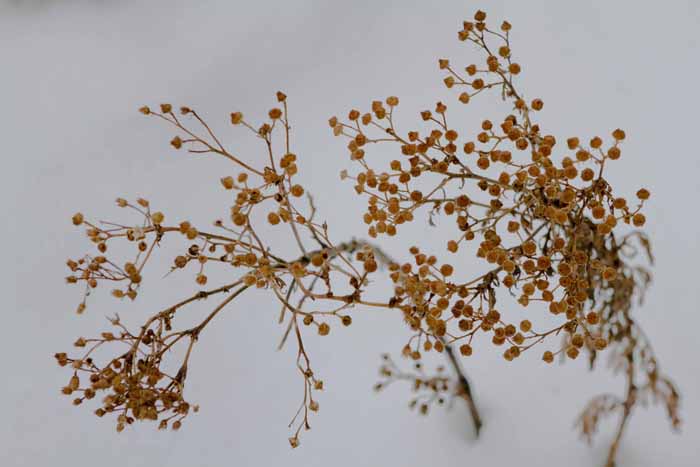 2010_12_05_0315201012062010_12_05_0315_1