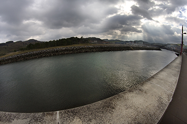 20110122_ZUMAIA