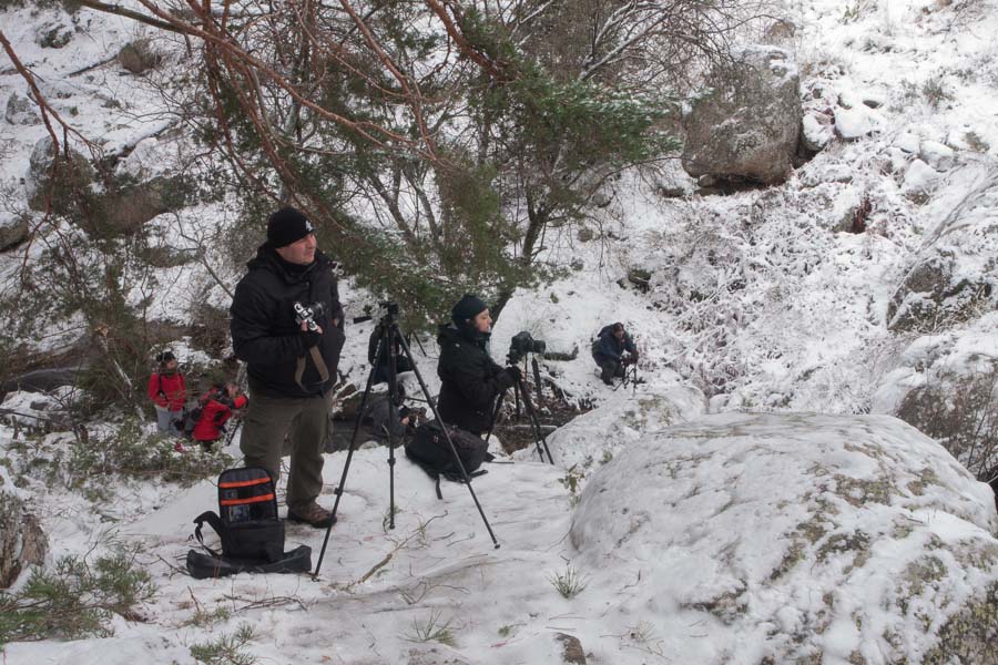 2013-01-20_QDD_Sierra_040