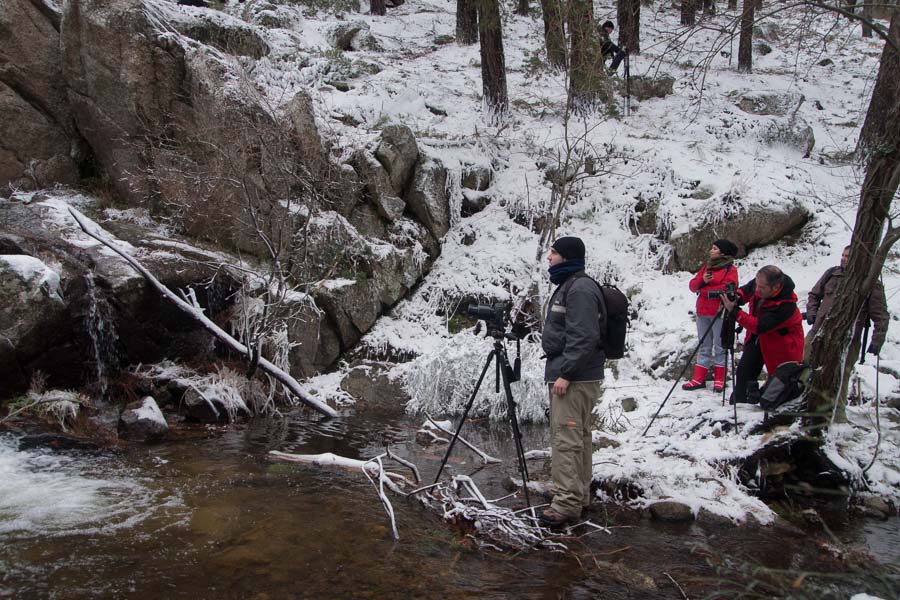 2013-01-20_QDD_Sierra_048