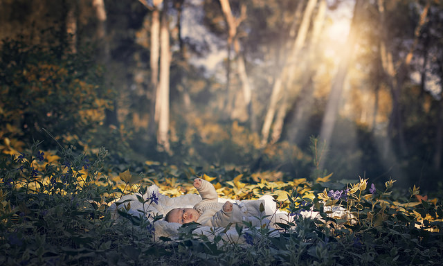 23837168070_1a19bee117_z