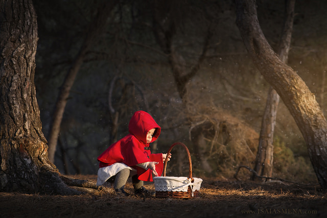 25204219706_aec1a55c35_z