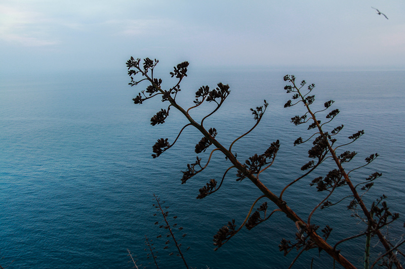26052012-120526-tossa-114