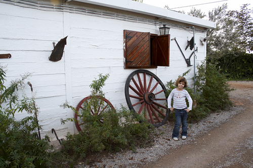 2c34833b9a1fc82ab8028844da0abcaf