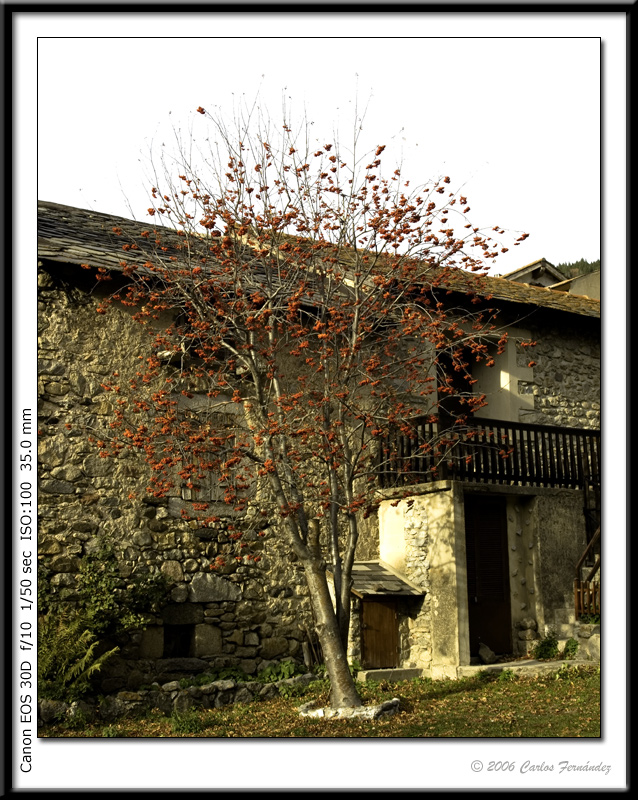 3601d651419b75c812abee218dcdc2ea
