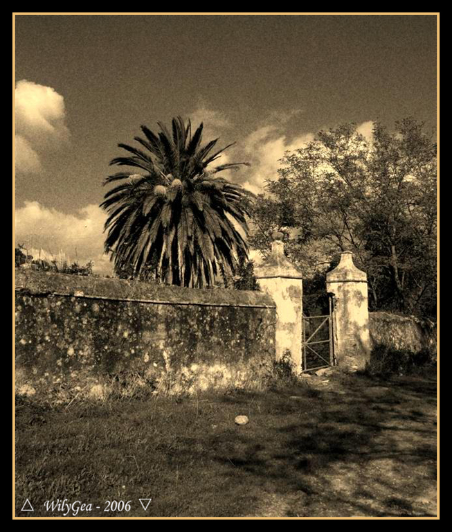 372476c7a2152edd72c512be5b9054f1