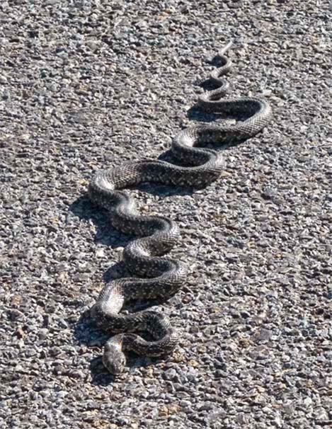 4919b122f9df375cd9ed1b62942af2ed