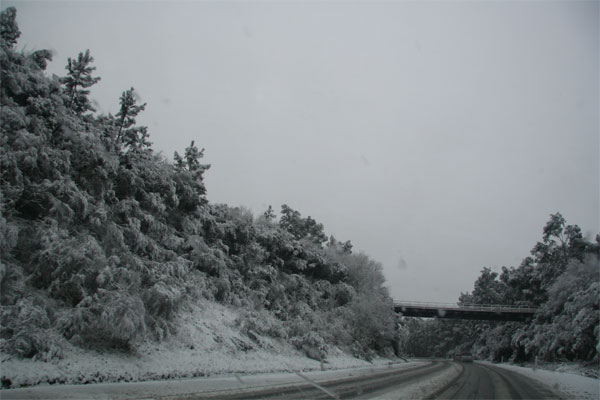 505669e5309bb3b35a47e86c6ad0ebad