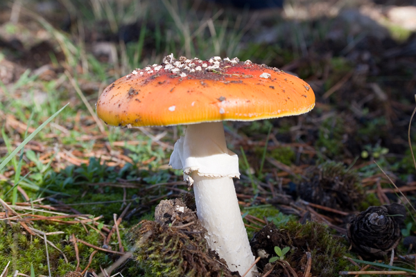 51559d5316103d631e6d9c960e54d3c0