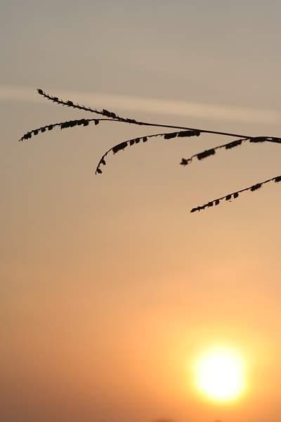 5d0bc16187a5edd71b4ac480e2da1d9b