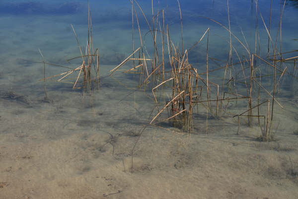 6823bf055b0703c81ce2a344f2090d93