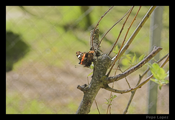 6cdab67d94871f6a4e43cee1345ce25c