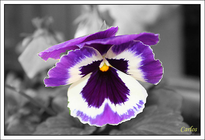 71a33c8cc723df38b91767306266bfb3