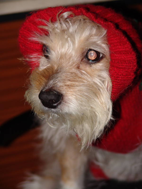 740f32acd02a3ef52b4604c0d77fbe12