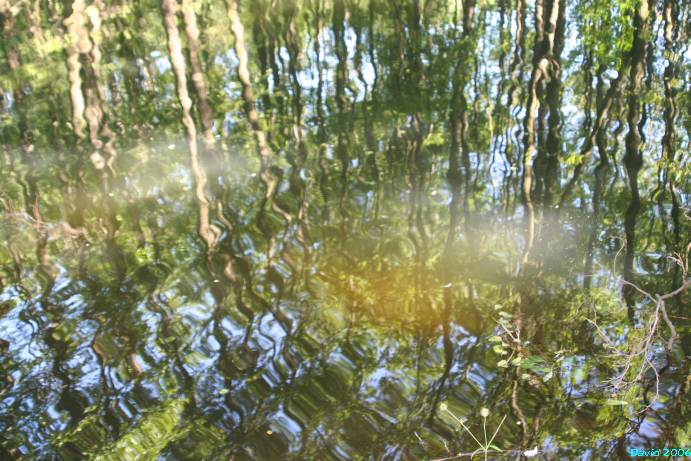 7bdcf20f852f96743b4443e9fcc3230b