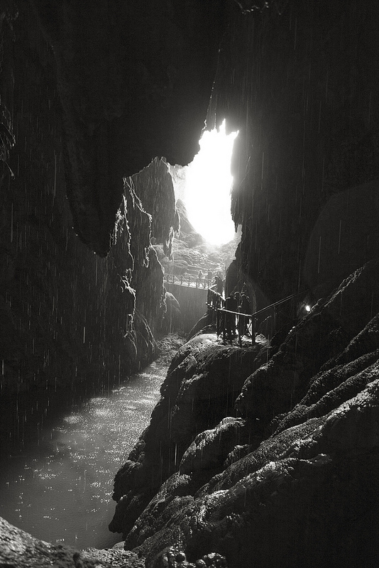 8559641495_f3542b3904_c