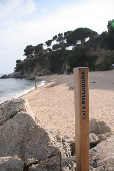 95f585e0099a2c5dd9e9e2e0e754c3b9