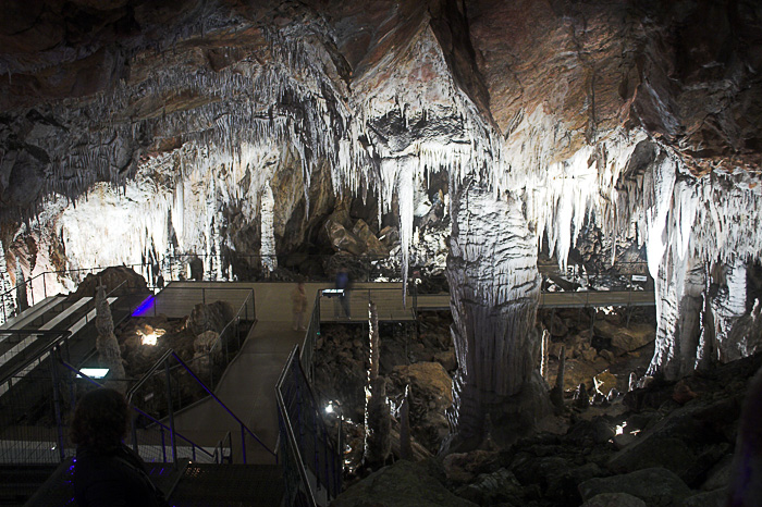 9688c622ce0a529cb51b289f8c6e2919