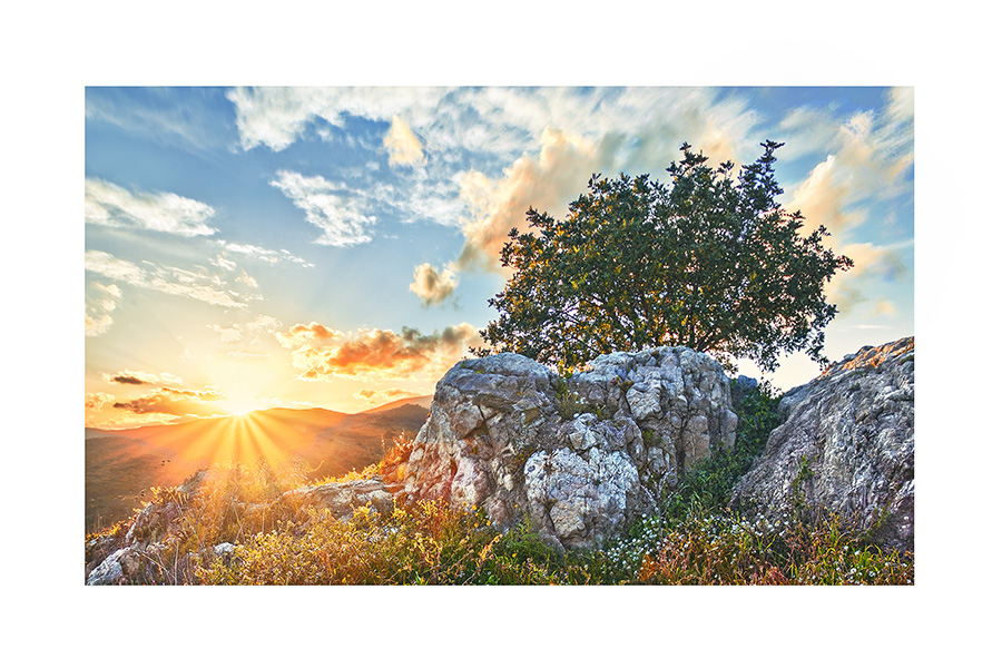 Atardecer-campestre-canonistas_2