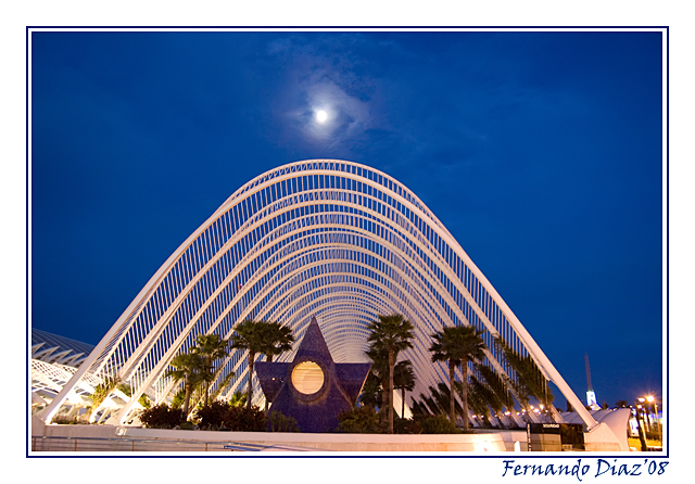 BIRRING_17_04_2008_021