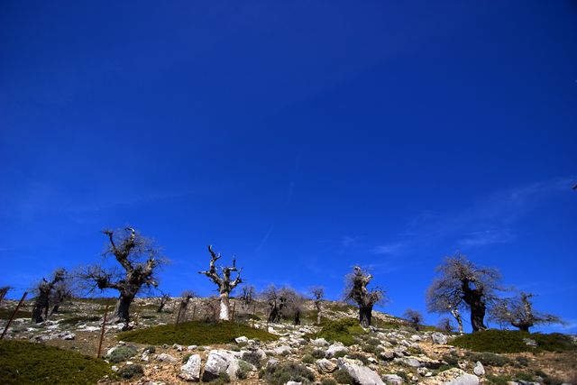 CRW_7906