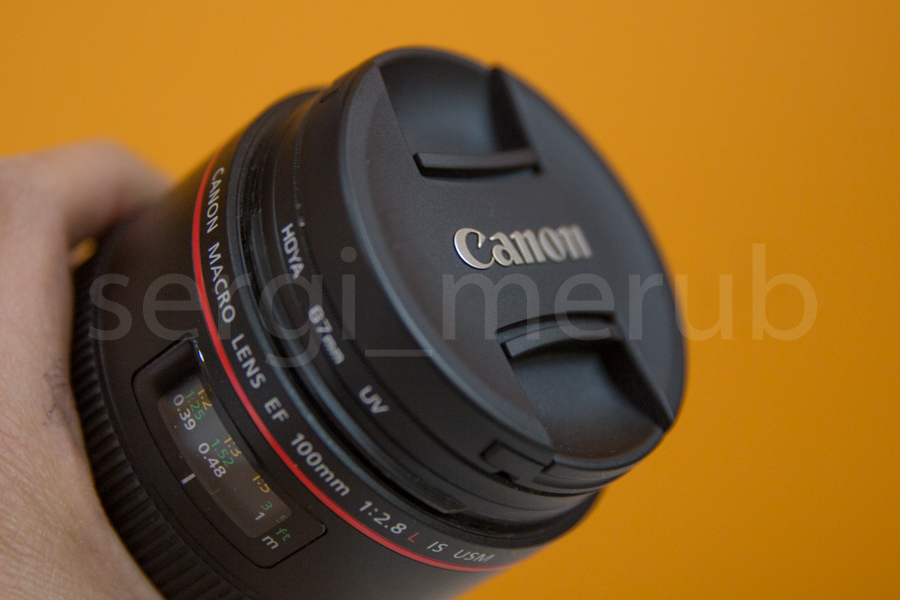 Canon100L_06