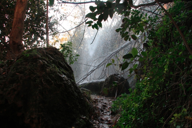 Cascada_Navajas