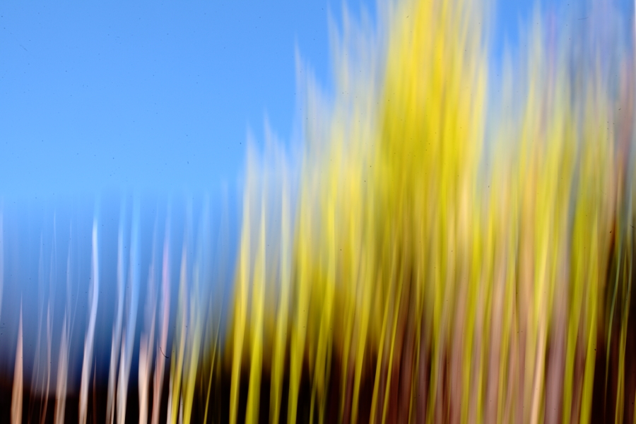 Composicion_1a