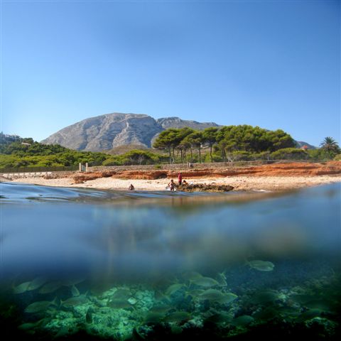 Costa1