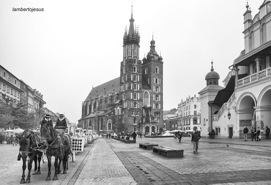 Cracovia1