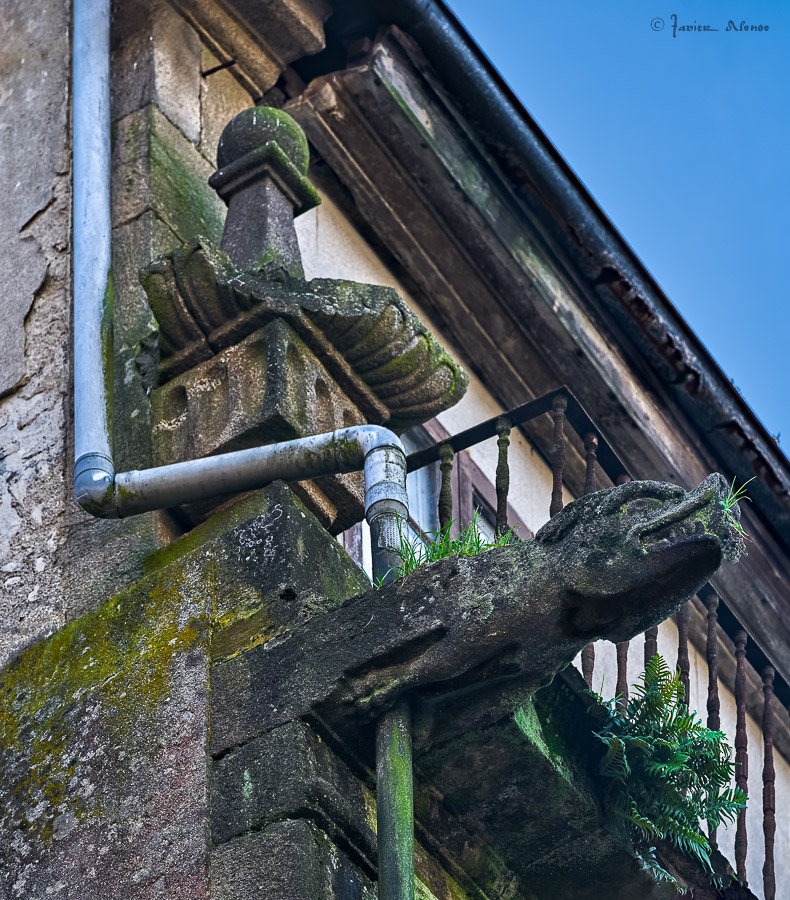 DSC1321_DxO-Pano-Editar